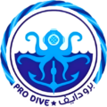 prodive